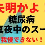 Blog08 糖尿病 真夜中のスープ 腹が減って眠れないBlog08