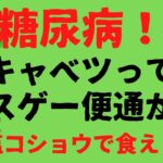 糖尿病キャベツってスゲー便通が・・・Blog09