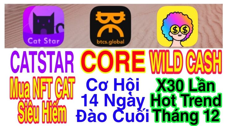 CATSTAR MUA NFT HIẾM + CORE CÒN 14 NGÀY ĐÀO + WILD CASH HOT TREND THÁNG 12 | Kiếm Tiền