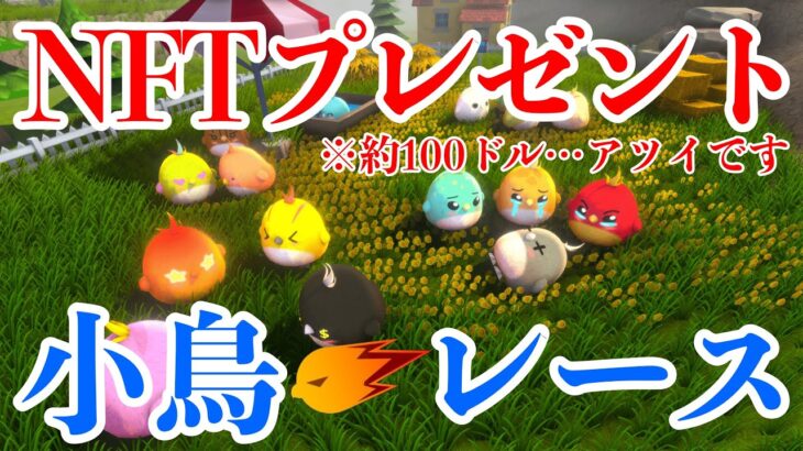 【Chick’Olympic】NFTプレゼント企画(100ドル相当)！かわいい小鳥がレースするNFTゲーム紹介します