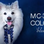 #Collectible #NFT from Simba`s collection Mood color. This one is #blue .