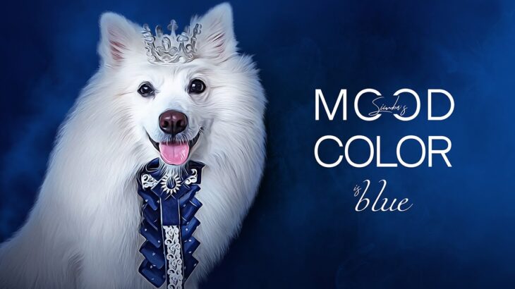 #Collectible #NFT from Simba`s collection Mood color. This one is #blue .