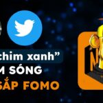 “Con chim xanh” chiếm sóng – NFT sắp FOMO #cryptoweekly