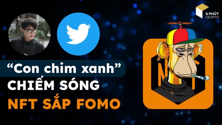 “Con chim xanh” chiếm sóng – NFT sắp FOMO #cryptoweekly