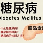 糖尿病 Diabetes Mellitus vs 胰岛素的功能Insulin   | 糖尿病的类型、诊断方式！什么是糖尿病？