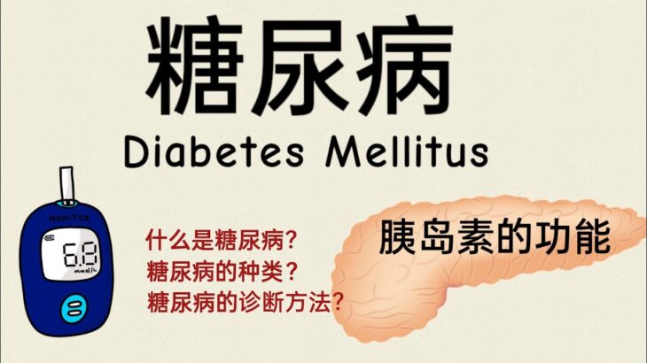 糖尿病 Diabetes Mellitus vs 胰岛素的功能Insulin   | 糖尿病的类型、诊断方式！什么是糖尿病？