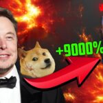 Elon Musk e Doge in un Nuovo Progetto NFT?! Doge Rush