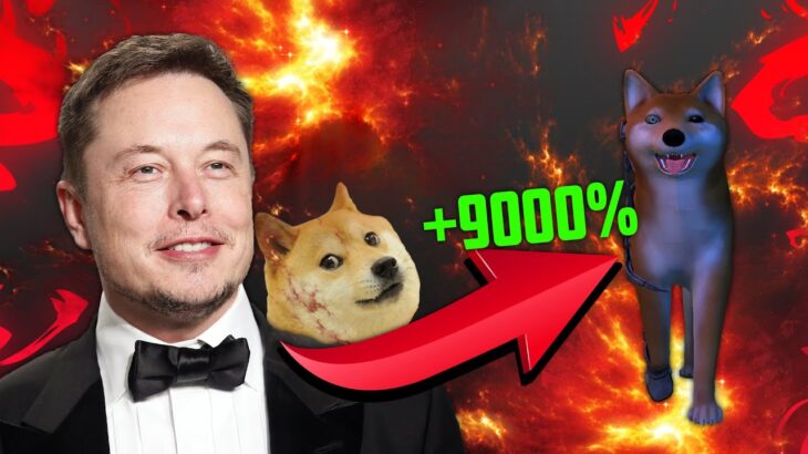 Elon Musk e Doge in un Nuovo Progetto NFT?! Doge Rush