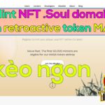 Hướng dẫn mint NFT .Soul domain nhận retroactive token MASA (kèo ngon)  | The Anh LDA