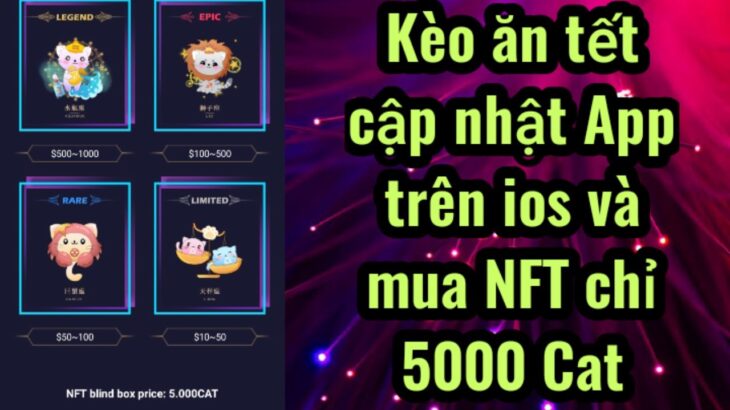 Kèo ăn tết cập nhật App trên ios và mua NFT chỉ 5000 Cat