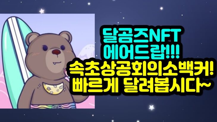 달곰즈NFT 에어드랍!! 속초상공회의소백커 빠르게 달려봅시다~