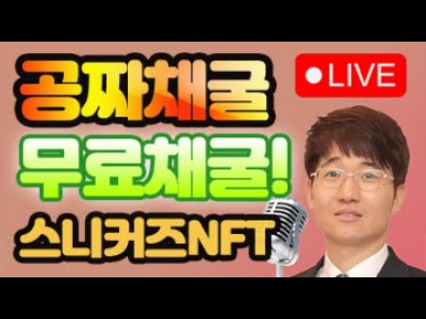 공짜채굴! 무료채굴! 스니커즈 NFT 채굴결과 11월26일 D+86 – 라이브 LIVE! / 스테픈 NFT