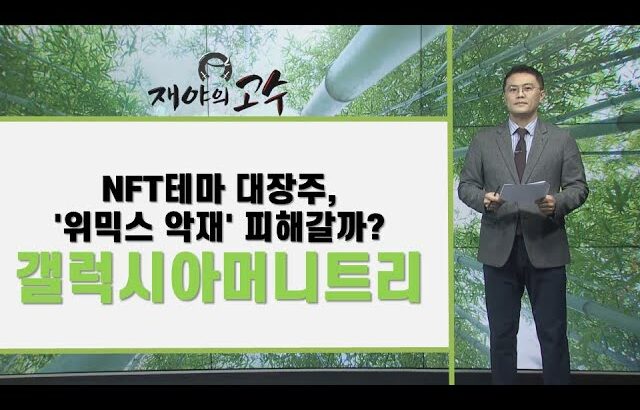 NFT테마 대장주, ‘위믹스 악재’ 피해갈까?갤럭시아머니트리/ 재야의 고수/ 매일경제TV