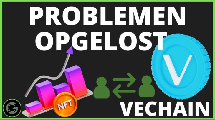 PROBLEMEN OPGELOST MASSALE ACCEPTATIE | NFT MARKTPLAATS | VET CRYPTO