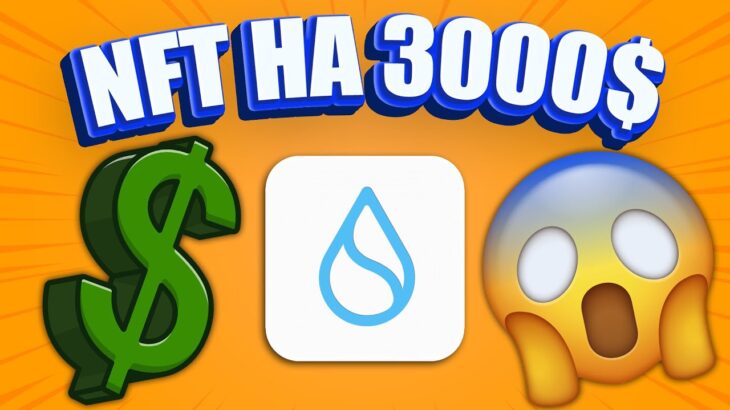 🚀ТЕСТНЕТ SUI: МИНТИМ NFT. ПОТЕНЦИАЛЬНЫЙ ДРОП НА 3000$?!🤑