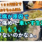 糖尿病で腰を痛めて車椅子生活です。生涯、もう歩けないのかなぁと思いながらも、一方で、再び歩けるようになるかすかな希望を持って生きています。【障害年金で糖尿病、車いす生活】VLOG20