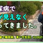 目が見えなくなってきました。糖尿病が原因していると思います。【障害年金で糖尿病、車いす生活】VLOG21