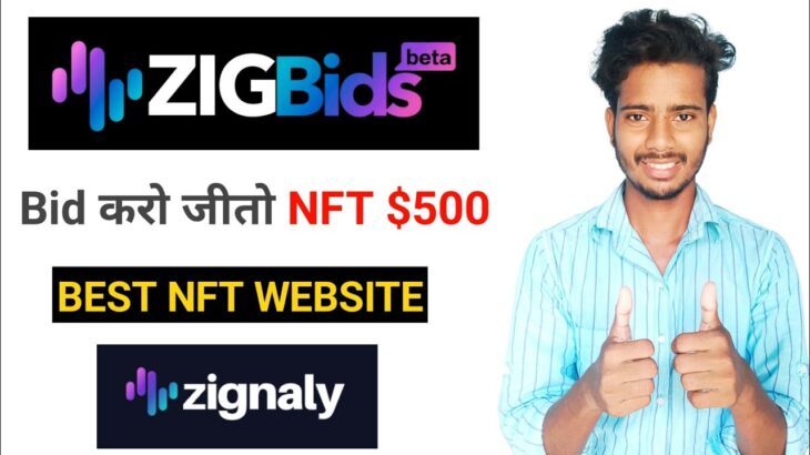 Zigbids Website | Zigbids Se Paise Kaise Kamaye | Zigbaly Website | Zigbids NFT Bid Kaise Kare