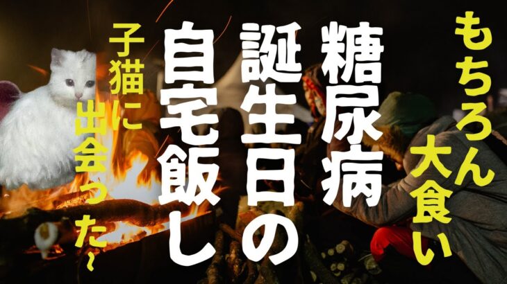 糖尿病患者の誕生日 もちろん大食いだが！子猫がご相伴に え？家族になるのかいblog15