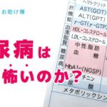 糖尿病はなぜ怖いのか？