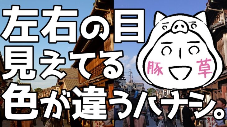 糖尿病網膜症の私、片目だけ白内障手術をしたら左右で見える色が違ったハナシ。