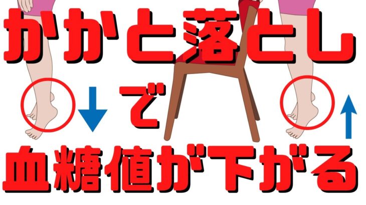 【糖尿病予防】超簡単！かかと落とし運動とスクワットで血糖値が下がる！そのワケと運動方法【看護師からの提案 雑パラ】