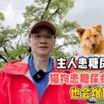 主人患糖尿病后，猫狗患糖尿病的概率也会增加？