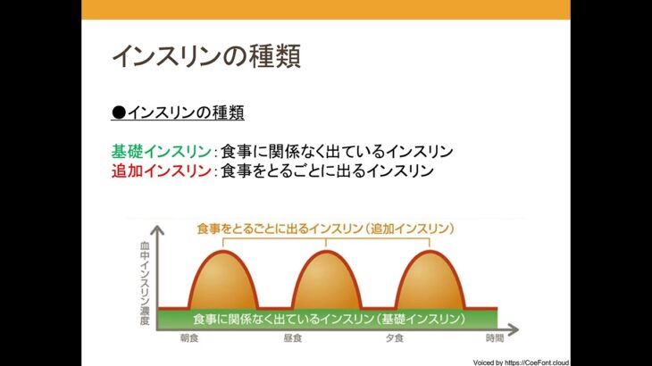 糖尿病教室 vol 19「薬の歴史」～薬剤師より～