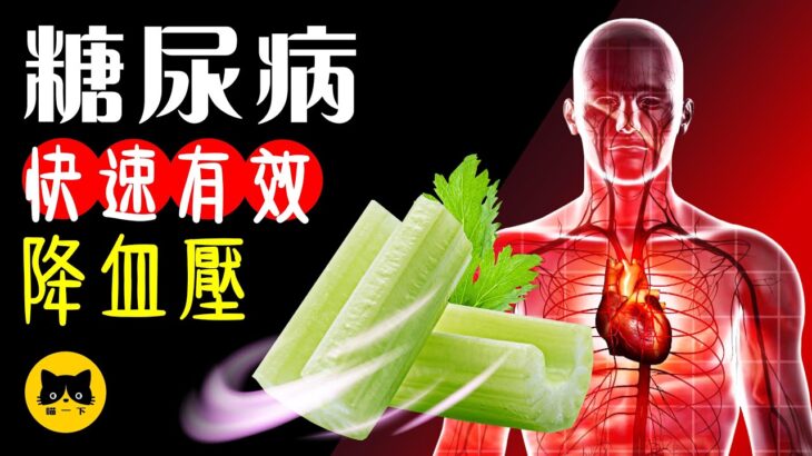 糖尿病 高血壓 吃什麼降血壓？14種快速有效降血壓食物