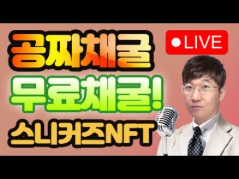 이스라엘 휴배폰인증 3만건 / 공짜채굴! 무료채굴! 스니커즈 NFT 채굴결과 12월3일 D+93 – 라이브 LIVE! / 스테픈 NFT