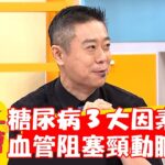 糖尿病3大因素！視力模糊血管阻塞導致「頸動脈狹窄」？！【#醫師好辣】20221206 part2 EP1461 陳榮堅 陳安儀