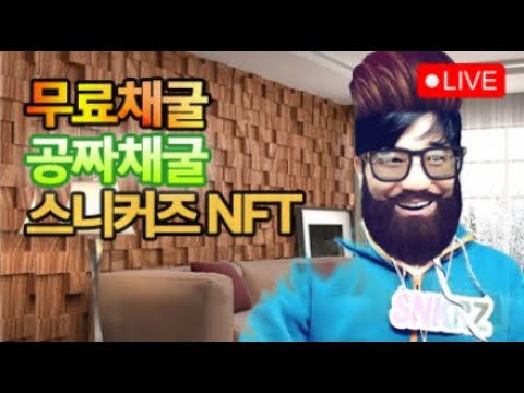 49레벨 / 공짜채굴! 무료채굴! 스니커즈 NFT 채굴결과 12월11일 D+101 / 스테픈 NFT