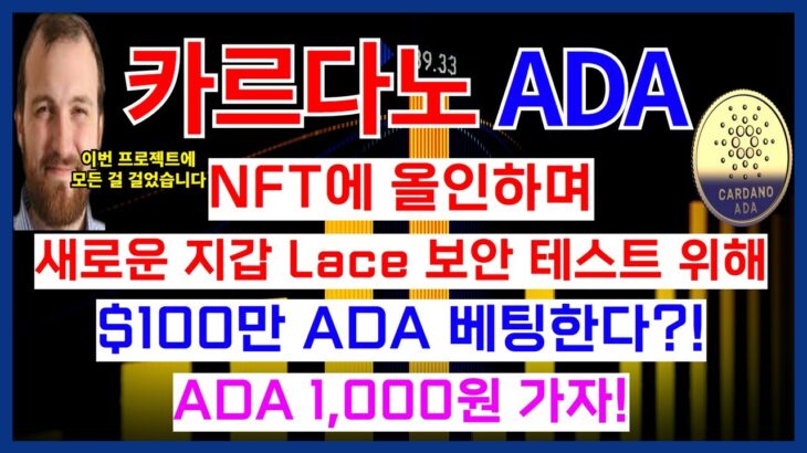 카르다노 ADA 코인 NFT에 올인하며 새로운 지갑 Lace 보안 테스트 위해 $100만 ADA 베팅한다?! ADA 1,000원 가자!