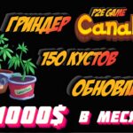 CanaBoyz СОЗРЕЛ 4й КУСТ | ОБНОВЛЕНИЕ ИГРЫ: ГРИНДЕР и УРОВНИ ФЕРМЫ | NFT P2E Game