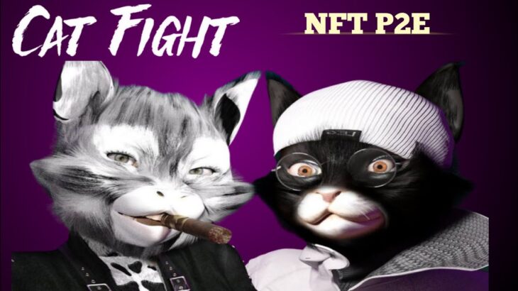 Cat Fight Metaverse – NFT Gaming Project | 100x Soon