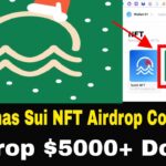 Christmas Sui NFT Airdrop Confirmed || Sui Network Airdop 110% || Airdrop $5000+ Dollar