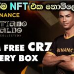 How To Get Free Binance NFT Sinhala | Free Earning Platform | E Money Sinhala | Mr Keshara