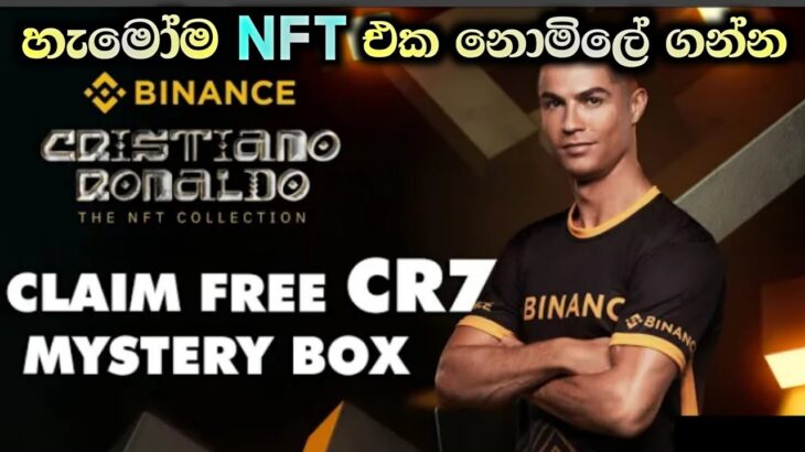 How To Get Free Binance NFT Sinhala | Free Earning Platform | E Money Sinhala | Mr Keshara