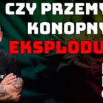 Kryptowaluty x NFT x Konopie czy to ma sens? Potencjał branży konopnej – Hubburger x Liroy