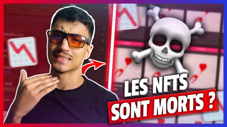 LES NFTS SONT-ILS MORTS ? RÉPONSE D’UN TRADER NFT – x100 SUR LES PROJETS NFT | ANALYSE MARCHÉ NFT