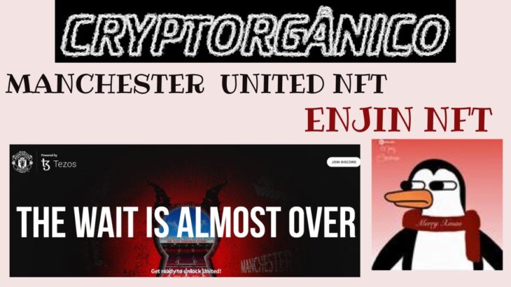 MANCHESTER UNITED E ENJIN NFT GRÁTIS