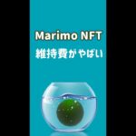 Marimo NFTの１日の維持費がえぐい【切り抜き】#shorts #web3 #nft