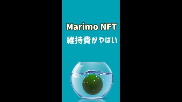 Marimo NFTの１日の維持費がえぐい【切り抜き】#shorts #web3 #nft