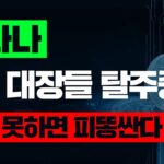 솔라나NFT 대장들 탈주중 탈출 못하면 피똥싼다#솔라나전망 #솔라나코인 #솔라나 #솔라나기반코인 #솔라나코인시세#비트코인 #도지코인 #이더리움클래식