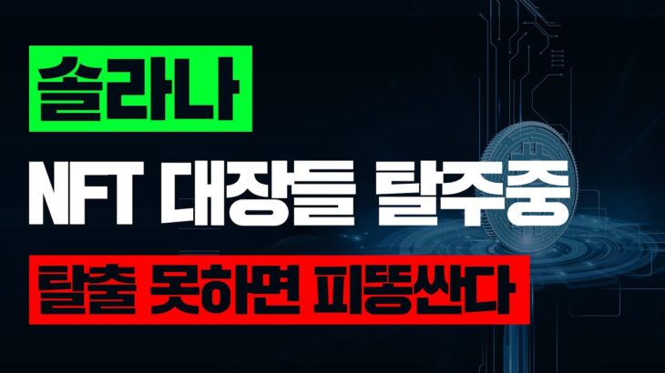 솔라나NFT 대장들 탈주중 탈출 못하면 피똥싼다#솔라나전망 #솔라나코인 #솔라나 #솔라나기반코인 #솔라나코인시세#비트코인 #도지코인 #이더리움클래식