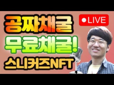 채팅창 폭발! / 공짜채굴! 무료채굴! 스니커즈 NFT 채굴결과 12월4일 D+94 – 라이브 LIVE! / 스테픈 NFT