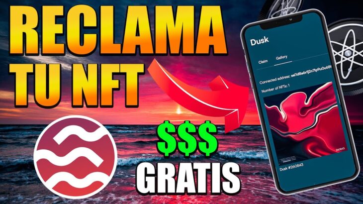 🎁 Otro AIRDROP!! 💥 Reclama RÁPIDO tu NFT para Calificar!! 💵 SEI Network 🌊