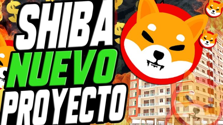 POSIBLE NUEVO PROYECTO PARA DAR UTILIDAD A SHIBA INU | MINECRAFT CRYPTO NFT | SHIBA INU NOTICIAS