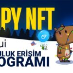 Sui Airdrop Topluluk Erişim Programı | Capy NFT