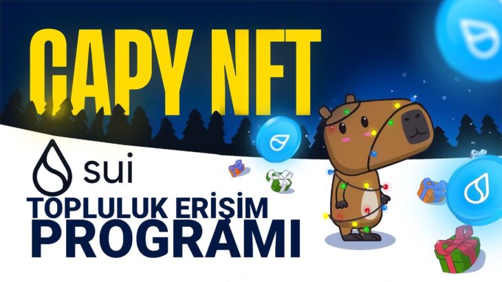 Sui Airdrop Topluluk Erişim Programı | Capy NFT